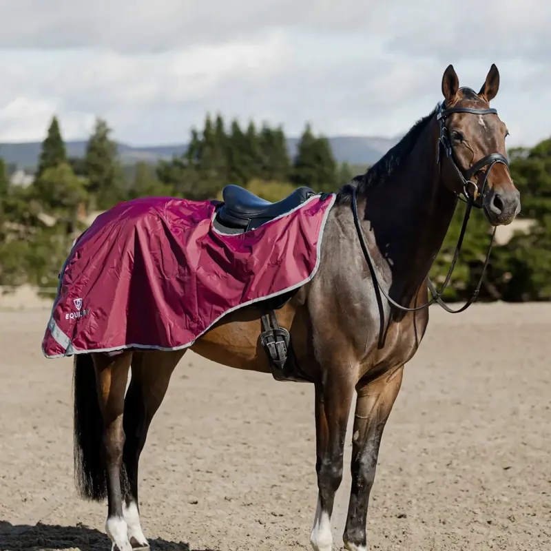 EQUIDRY Waterproof Thick Fleece Lined Exercise Sheet - Plum/Grey-4