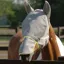 Equilibrium Field Relief Max Fly Mask - Grey/Yellow