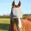 Equilibrium Field Relief Midi Fly Mask with No Ears - Grey/Yellow