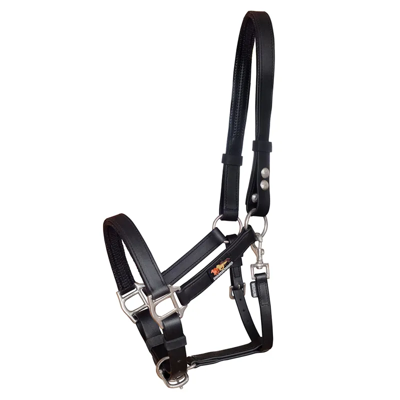 Equilibrium Stellar Safety Headcollar - Black