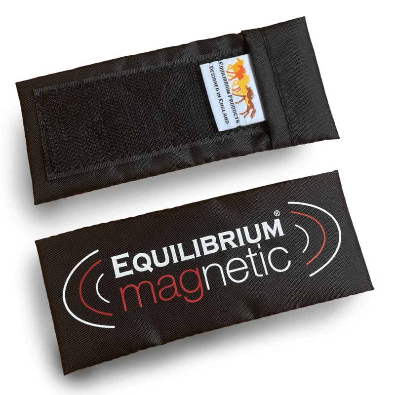 Equilibrium Magnetic Spare Magnets-1