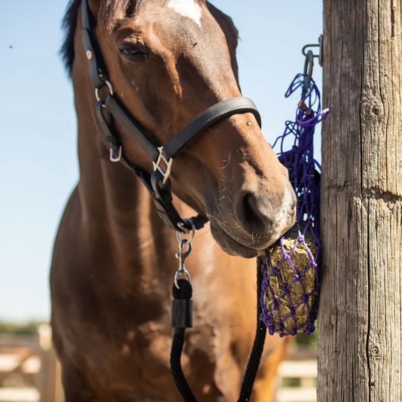 Equilibrium CalmMunch Snack Block - Camomile Hops and Vervain-2