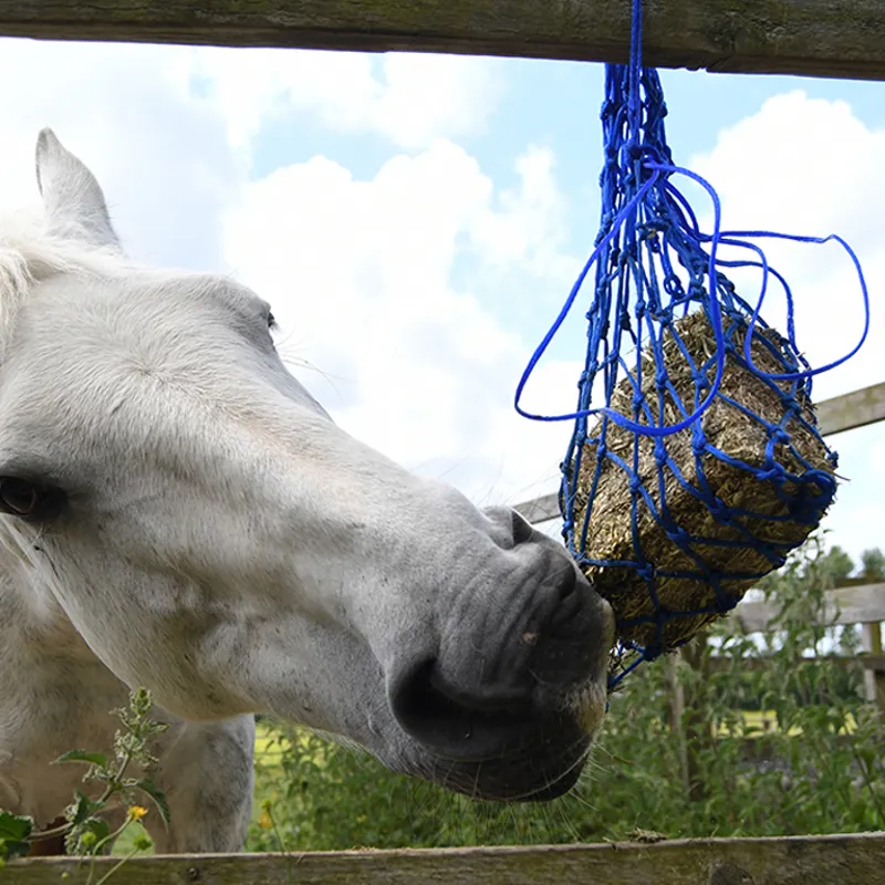 Equilibrium VitaMunch Snack Block - Heavenly Healthy Hedgerow-3