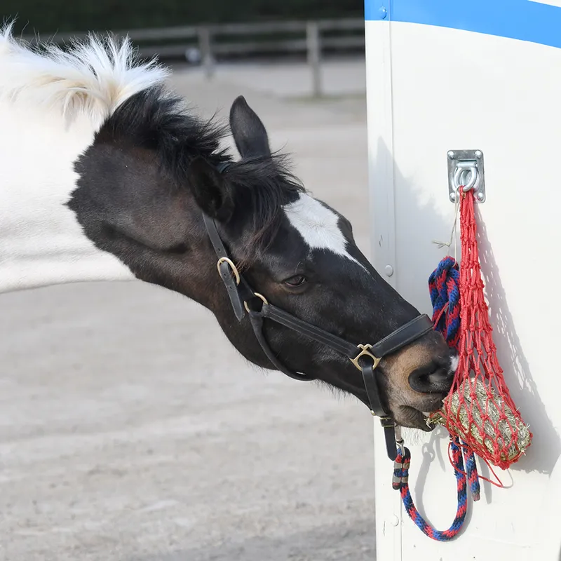 Equilibrium VitaMunch Snack Block - Marvelously Moreish Meadow-4