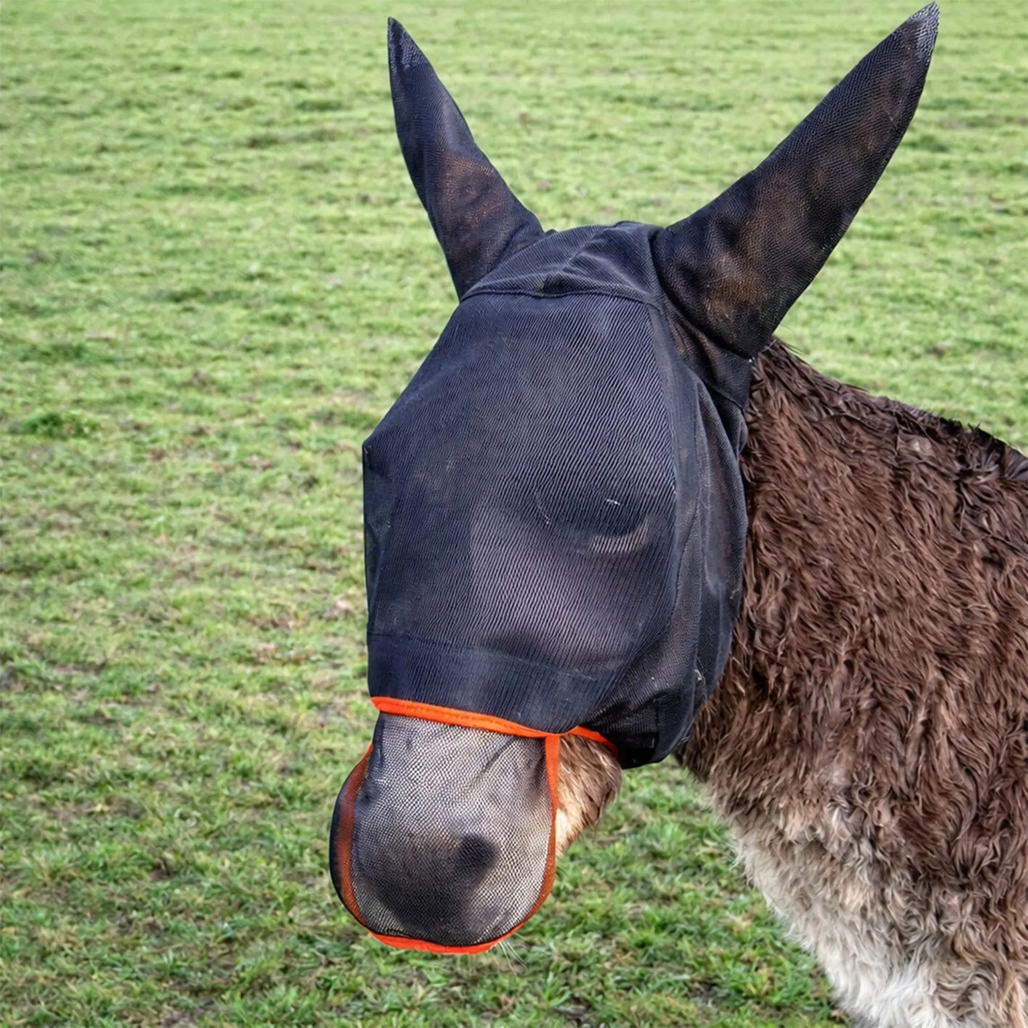 Donkey Mask Colour In Equilibrium Field Relief Max Donkey Fly Mask - Black/Orange