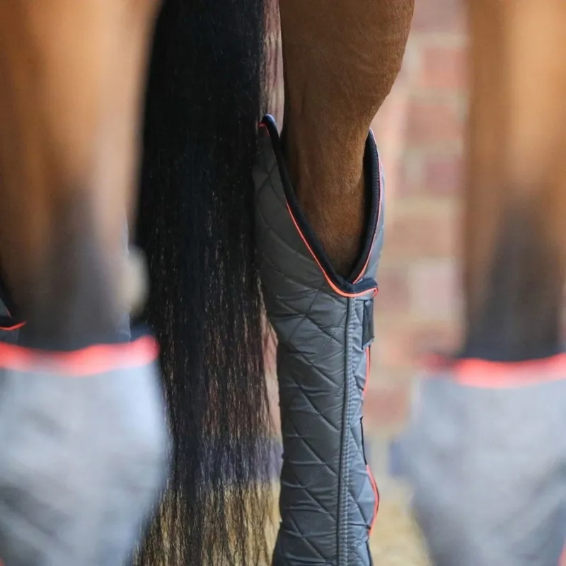 Equilibrium Magnetic Hock and Hind Leg Boots - Grey Pre-Order-9