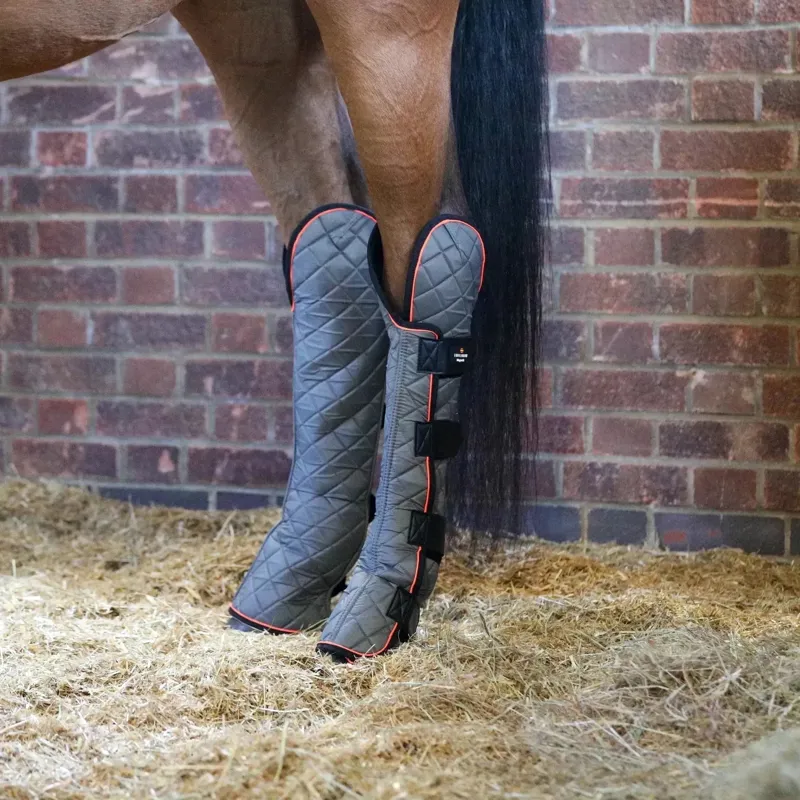 Equilibrium Magnetic Hock and Hind Leg Boots - Grey Pre-Order-1