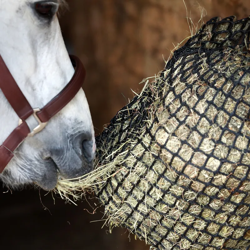 Equilibrium Portion Pacer Slow Feeder Haynet - Black-2