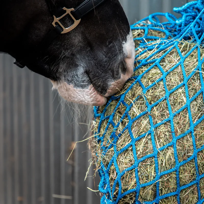 Equilibrium Portion Pacer Steady Feeder Haynet - Blue-3