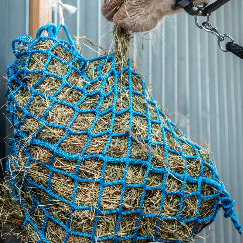 Equilibrium Portion Pacer Steady Feeder Haynet - Blue-11