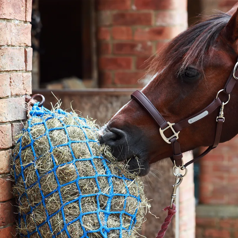 Equilibrium Portion Pacer Steady Feeder Haynet - Blue-2