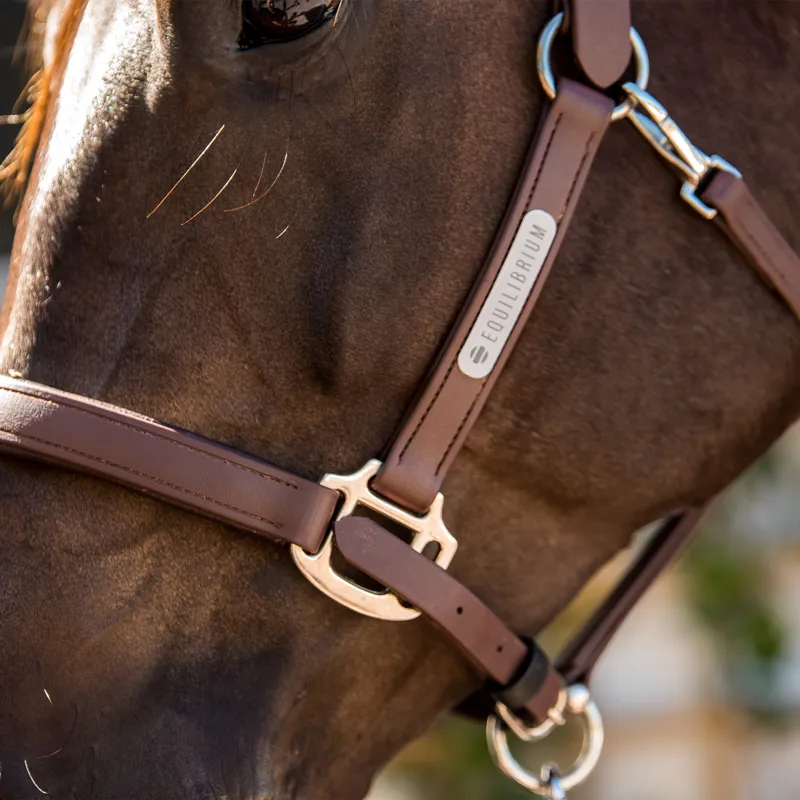 Equilibrium Stellar All-Weather Safety Headcollar - Brown-4