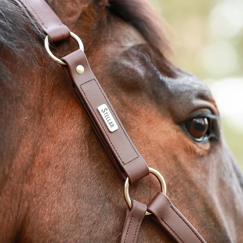 Equilibrium Stellar All-Weather Safety Headcollar - Brown-7