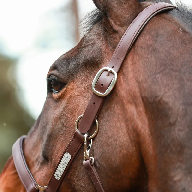 Equilibrium Stellar All-Weather Safety Headcollar - Brown-9