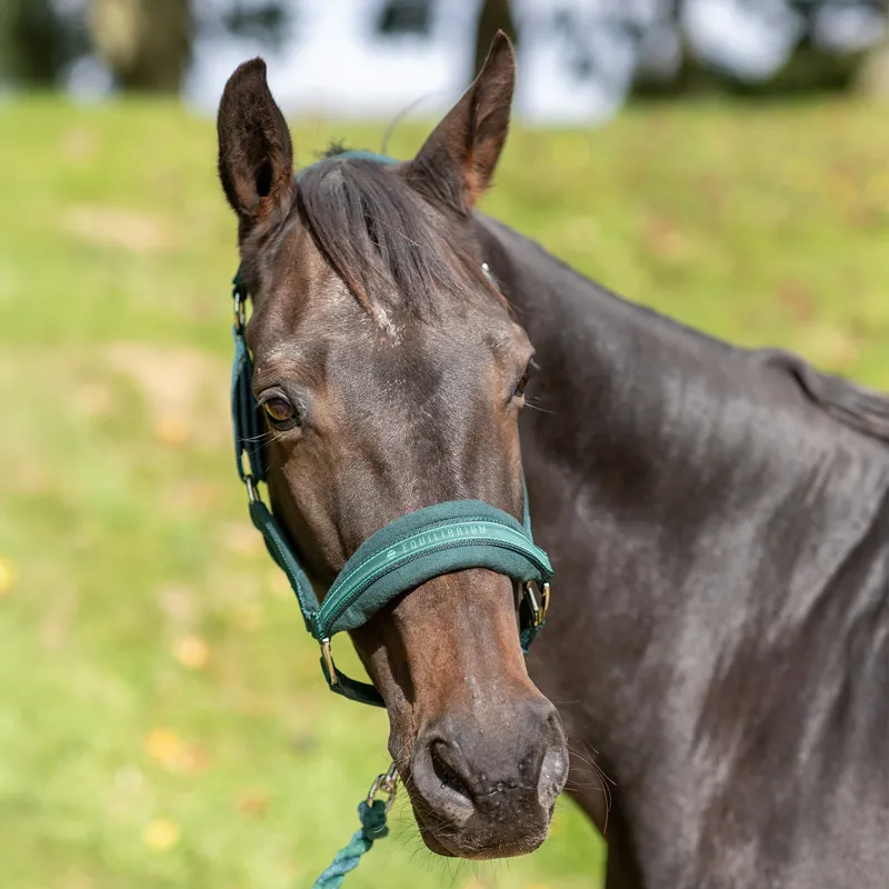 Equilibrium Stellar Style Safety Headcollar - Green-3