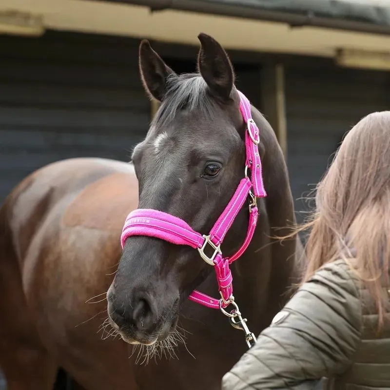 Equilibrium Stellar Style Safety Headcollar - Pink-2