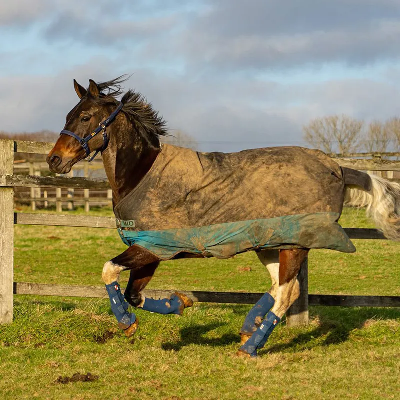 Equilibrium Equi-Chaps Hardy Turnout Chaps - Navy-2