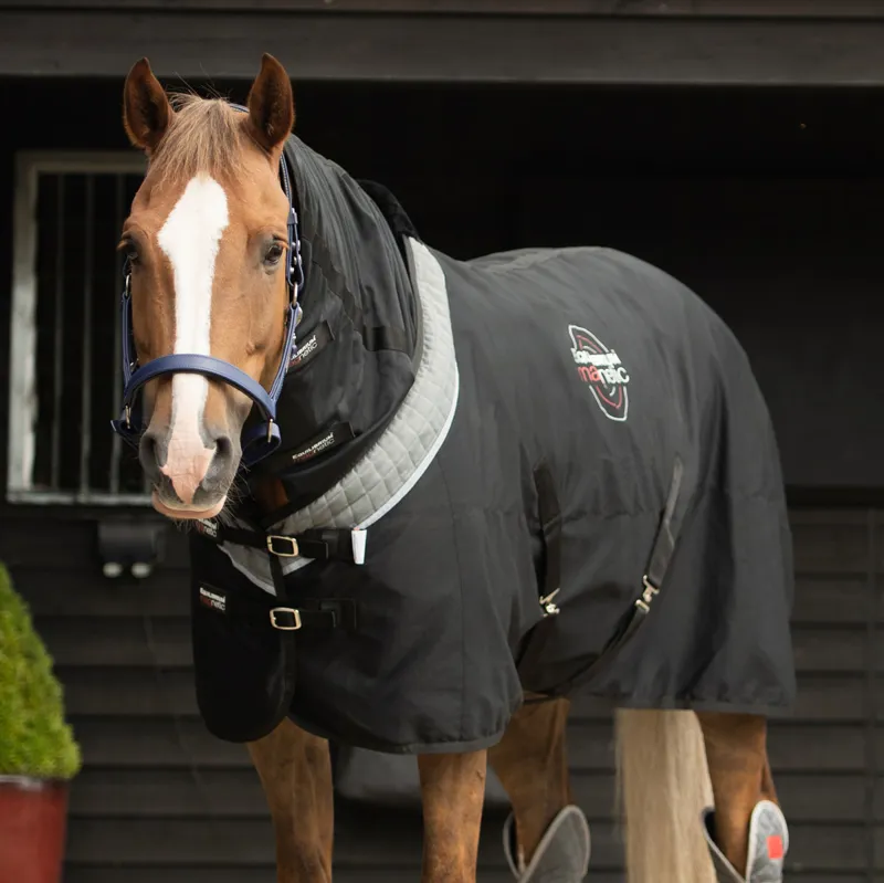 Equilibrium Magnetic Rug - Black