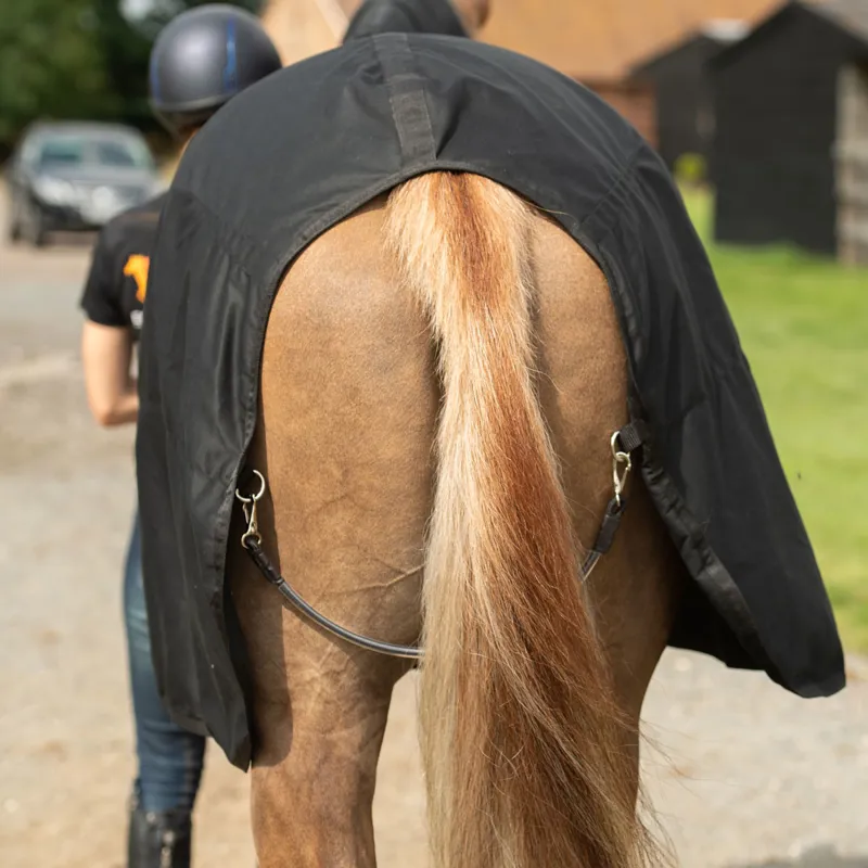 Equilibrium Magnetic Rug - Black-1