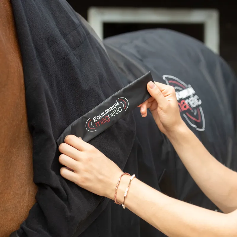 Equilibrium Magnetic Rug - Black-4