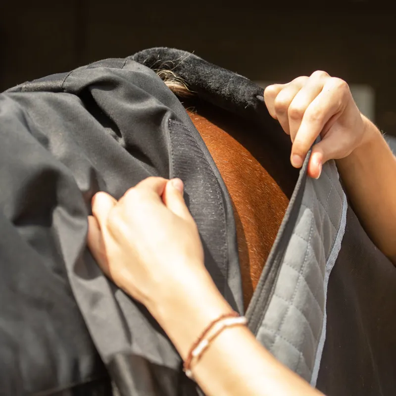 Equilibrium Magnetic Rug - Black-5