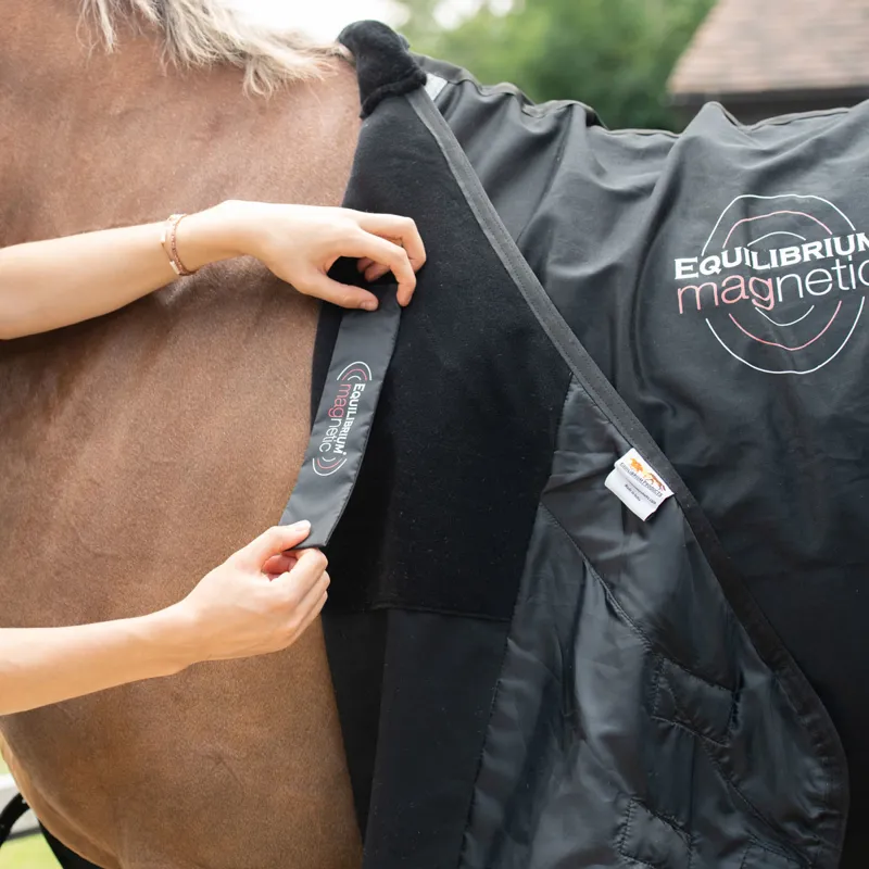 Equilibrium Magnetic Rug - Black-6