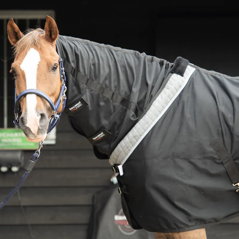 Equilibrium Magnetic Rug - Black-7