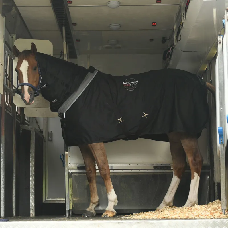 Equilibrium Magnetic Rug - Black-8