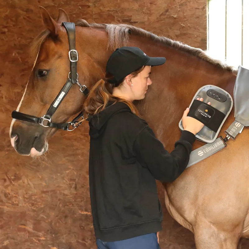 Equilibrium Massage Mitt-3