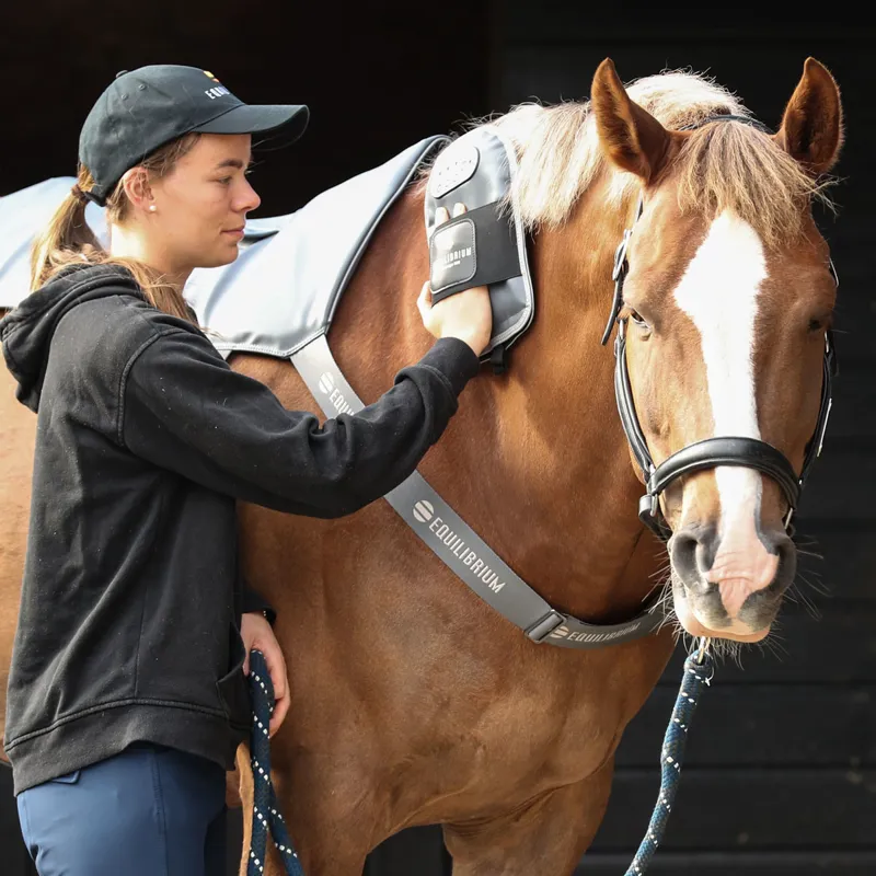 Equilibrium Massage Mitt-4