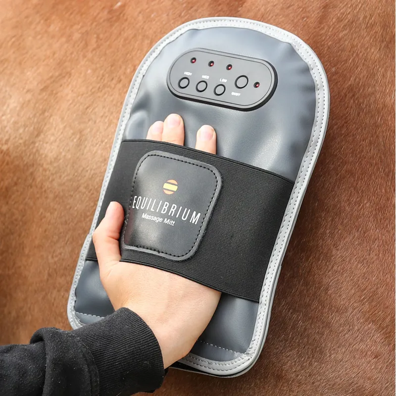 Equilibrium Massage Mitt