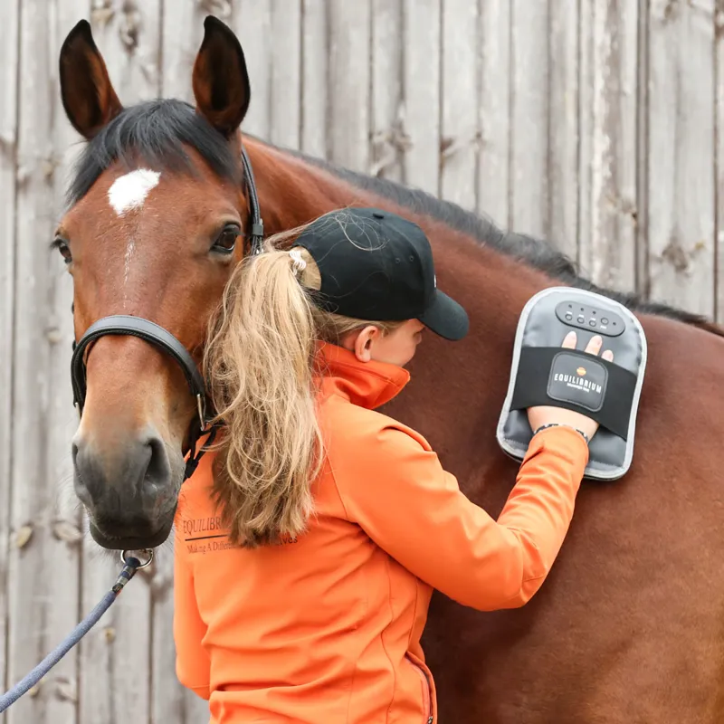 Equilibrium Massage Mitt-1
