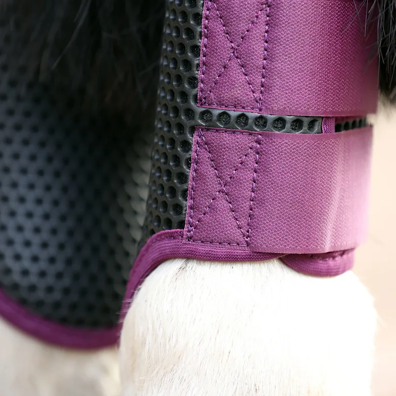 Equilibrium Tri-Zone Brushing Boots - Plum -2