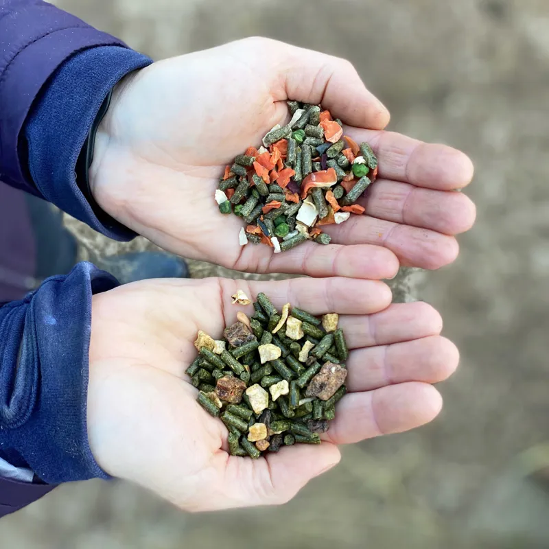 Equilibrium Simply Irresistible Topper Horse Treats - Virtuous Vegetables-1