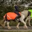 Equi Light Ride On LED Rechargeable Hi Vis Exercise Sheet - Orange