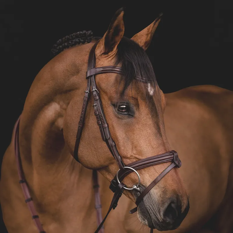 Equiline Classic Flash Bridle - Brown-1