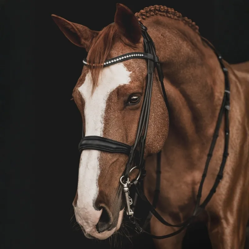 Equiline Rolled Double Bridle - Black-1