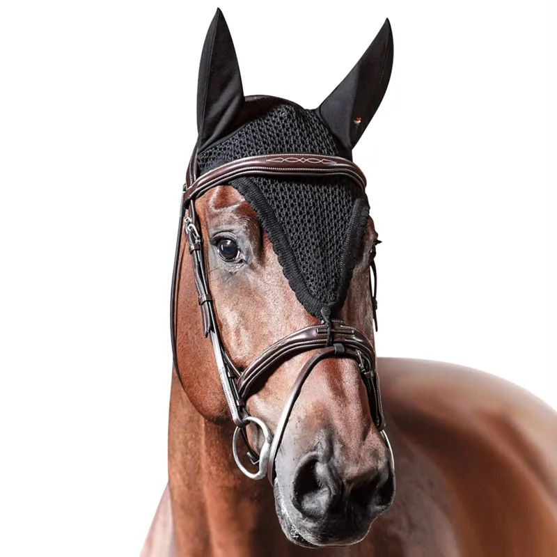 Equiline Loop Competition Ears - Black-1
