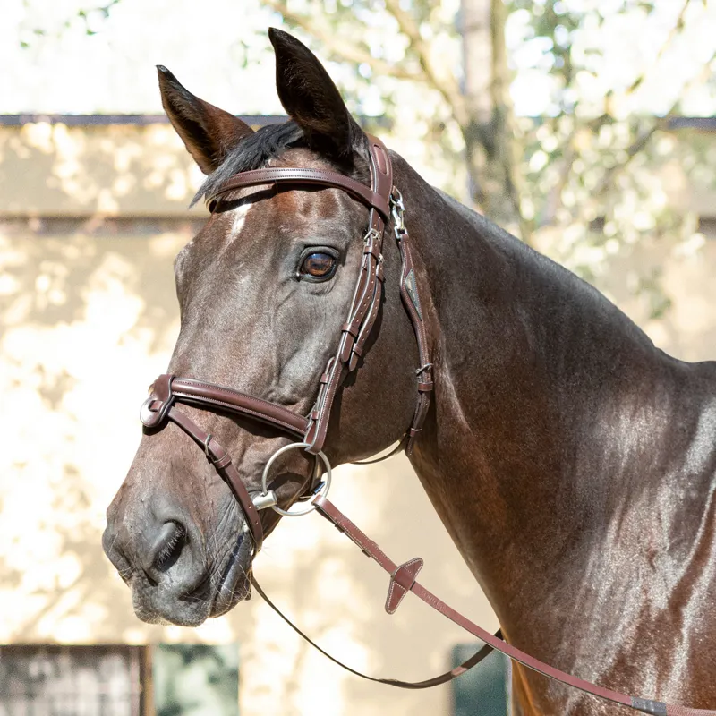 Equiline Anatomic Jumping Removable Flash Bridle - Brown-2