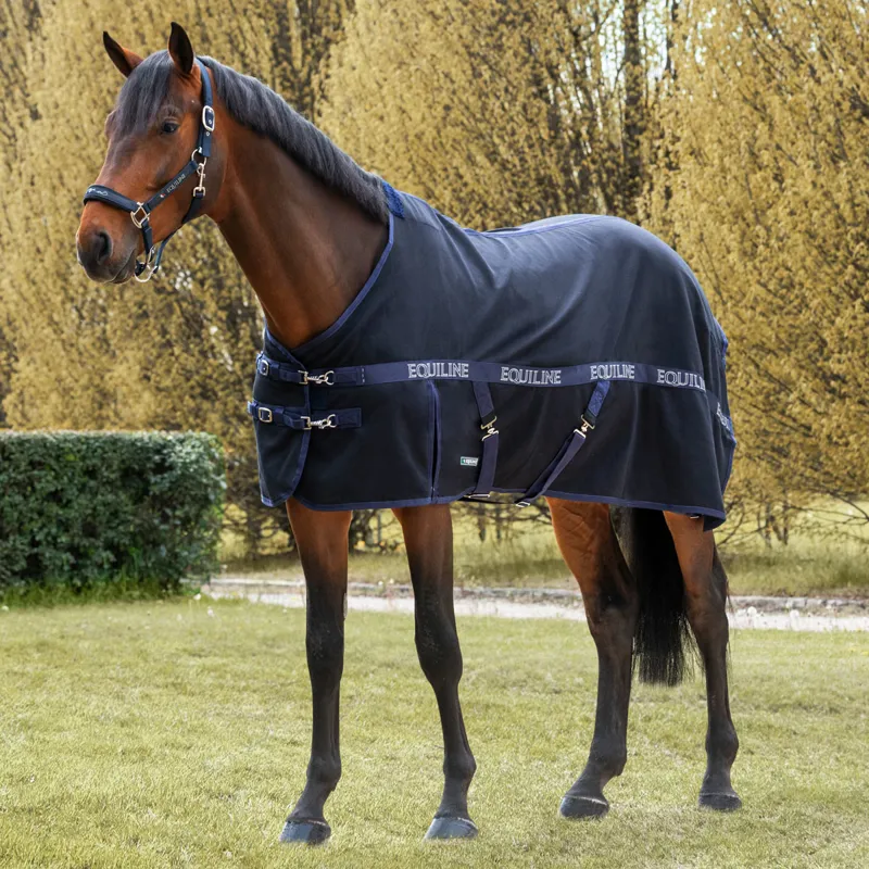 Equiline Reynosa Stable Sheet - Blue