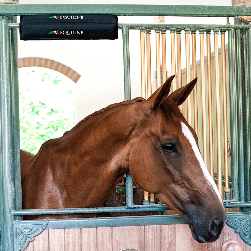 Equiline Ozzy Stable Protector - Blue-1