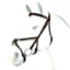 Equipe Emporio Gentle Grackle Bridle - Brown/Silver