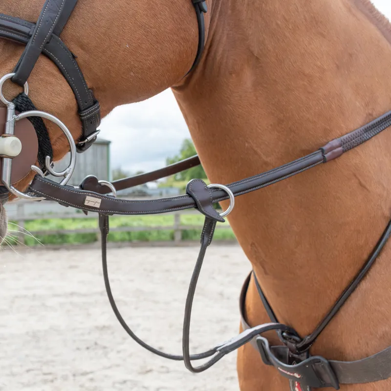 Equipe Emporio Rolled Browband Flash Bridle - Brown/Silver-1