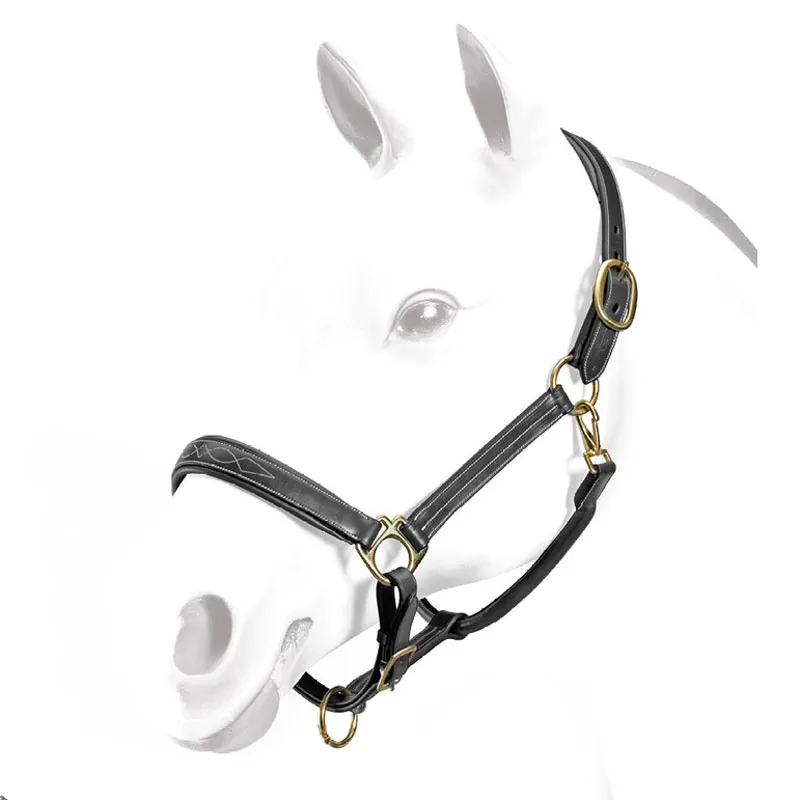 Equipe Emporio Stitched Leather Headcollar - Black