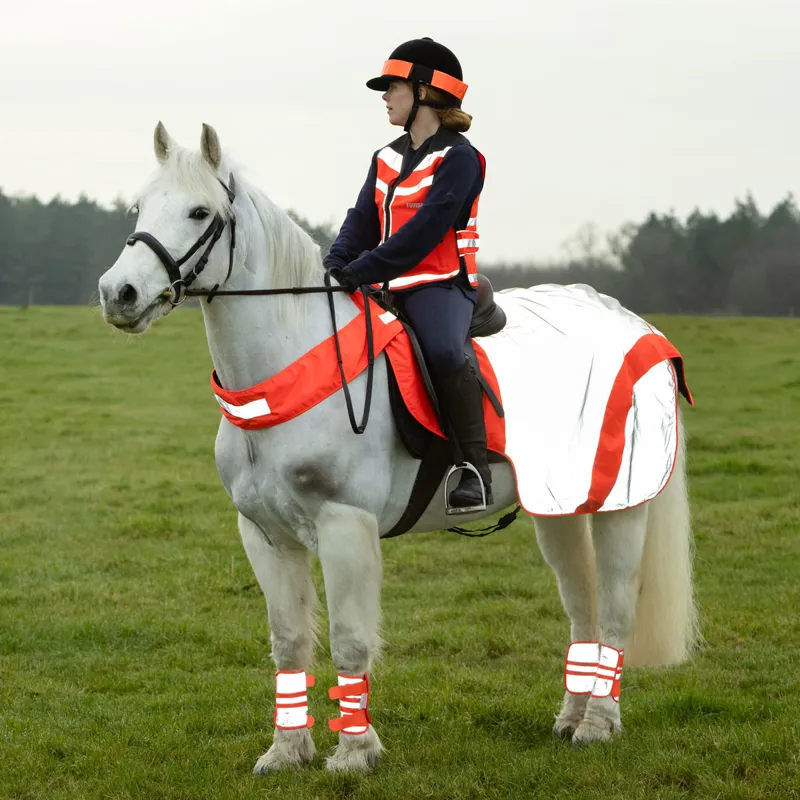 Equisafety Reflective Mercury Waterproof Exercise Rug - Red/Orange-1