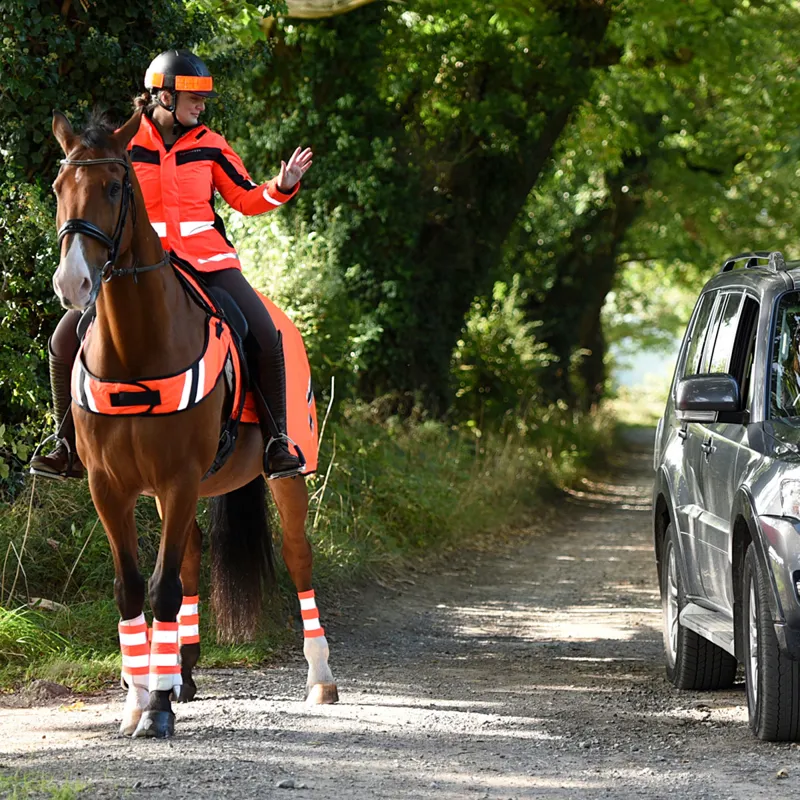 Equisafety Reflective Hat Band - Red-4
