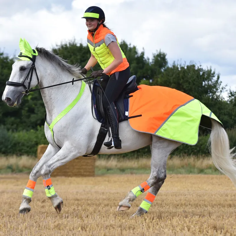 Charlotte on sale dujardin boots