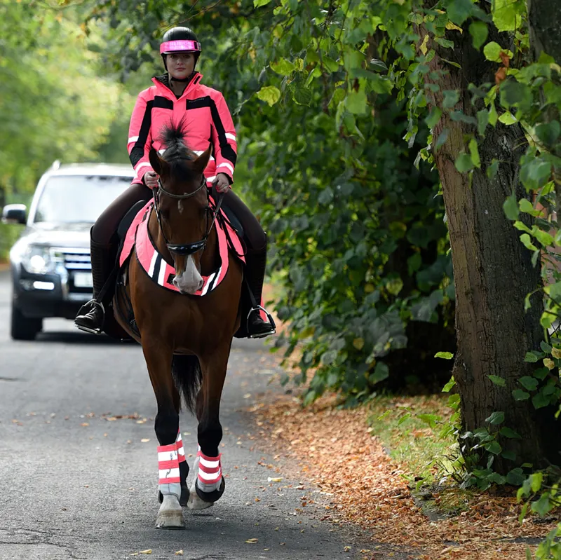 Equisafety Inverno Reflective Reversible Adults Jacket - Pink-8