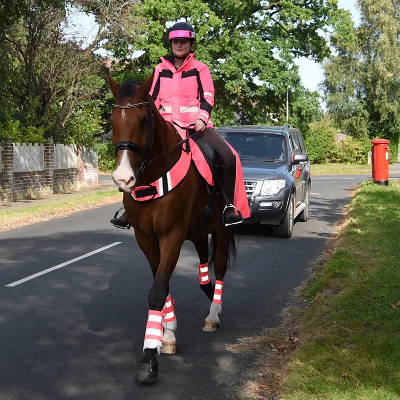 Equisafety Inverno Reflective Reversible Adults Jacket - Pink-10