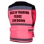 Equisafety Horse in Training Adults Waistcoat - Pink